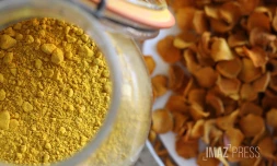 Curcuma 