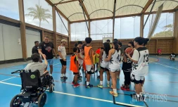 Handibasket