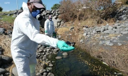 veille sanitaire au Port 