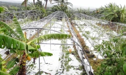 aides agriculture