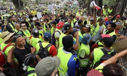 Marée jaune à la Préfecture
