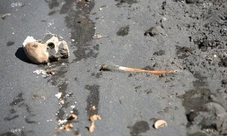 Des ossements humains découverts aux Roches Noires