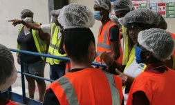 tco, déchets, centre de tri, environnement, visite, actualités de la réunion