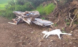 Band cochon : 130 dépôts sauvages photographiés cette semaine