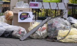 La Casud : 150 kg de déchets collectés à L’Entre-Deux pour le World CleanUp Day