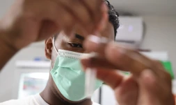 coronavirus 