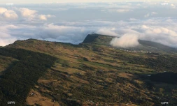 plaine des cafres 