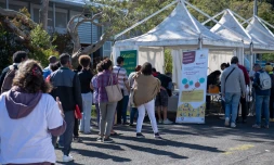 En route vers l'insertion