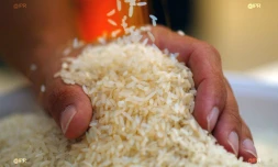 Riz
