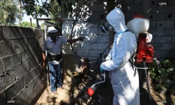 Dengue