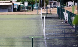 sports coronavirus 