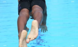 Natation 