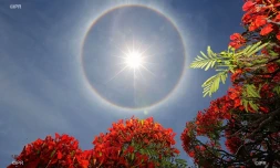 halo de chaleur