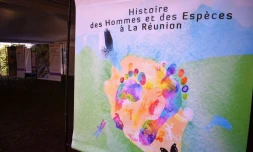 exposition "Histoire des Hommes et des espèces à La Réunion" AVE2M