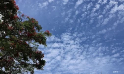 ciel nuageux 
