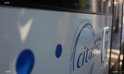 Citalis