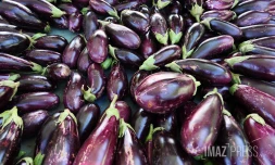Marché forain en couleur