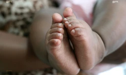 Le bisphénol A interdit dans les contenants alimentaires