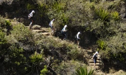 Grand Raid 2006