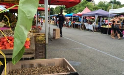 marché de piton saint-leu