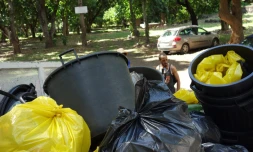 Nettoyage Ravine des Lataniers