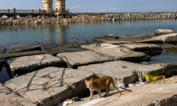 Le port d'Alexandrie le 31 octobre 2022 ( AFP / Khaled DESOUKI )