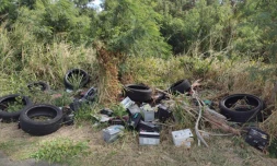 dépôts sauvages band cochon