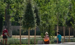 Un jardinier travaille dans le parc Blandan à Lyon le 24 juillet 2019