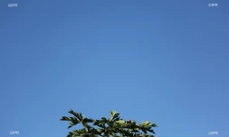 météo réunion 