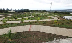 parc des palmiers du monde au Tampon 