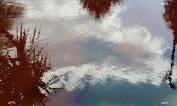 pluie 