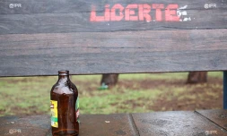 Alcool