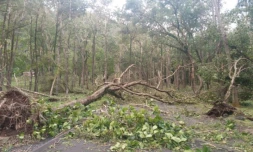 Danger anse des cascades 