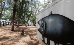 Paillote, Coco Beach, expulsion, déménagement, état des lieux, restaurant, Hermitage, plage