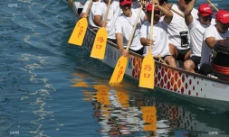 Dragon boats au port 2016