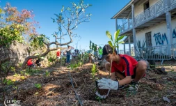 1200 plants mis en terre par les élèves portois aux jardins des Maisons des ingénieurs