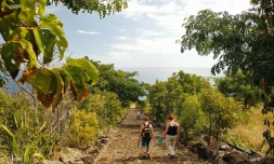 météo réunion 
