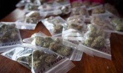 Le cannabis est la drogue la plus consommée en France. | AFP PHOTO / DESIREE MARTIN