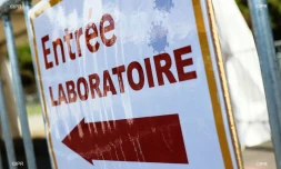 Test saint-andré 