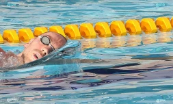 natation meetig 