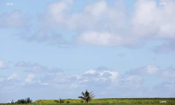 météo Réunion 