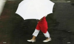 pluie 