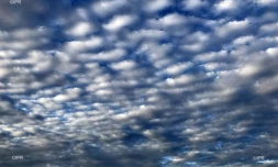 météo réunion 