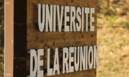 Université de la Réunion 