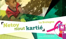 Netoy nout kartié la bretagne