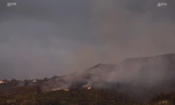  Feu de brousailles dans les Hauts de la Possession 