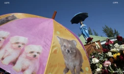 Vierge parasol 