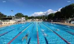 natation 