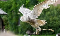 JENS KALAENE / dpa Picture-Alliance via AFP