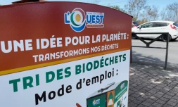 Le Port : collecte des déchets alimentaires, un nouveau dispositif lancé 